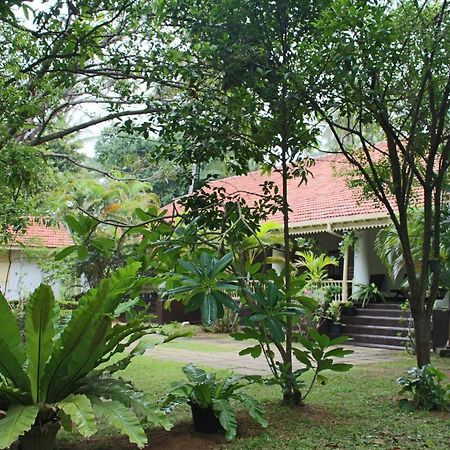 No.53 Apartment Katunayake Exterior photo